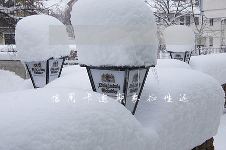 信用卡逾期象征性还 信用卡逾期象征性还