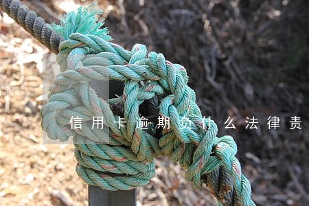 信用卡逾期负什么法律责任