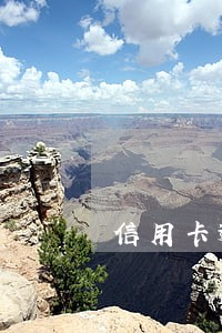 信用卡逾期负债压力大