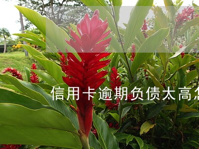 信用卡逾期负债太高怎么办