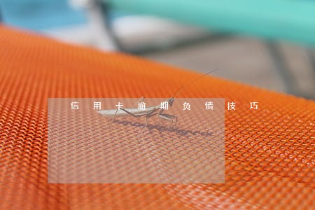 信用卡逾期负债技巧