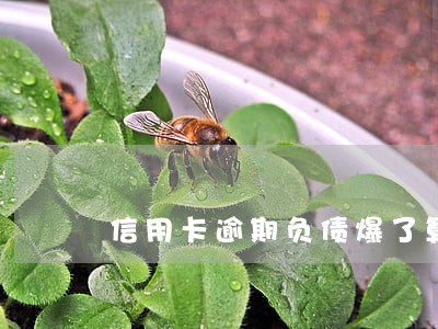 信用卡逾期负债爆了算特殊情况吗