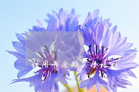 信用卡逾期负债福利 信用卡逾期负债福利