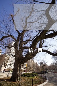 信用卡逾期负债者