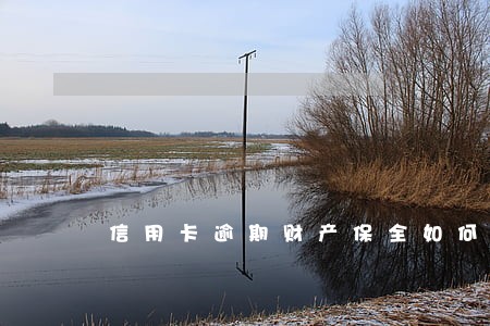 信用卡逾期财产保全如何处理 信用卡逾期财产保全如何处理