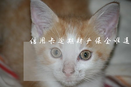 信用卡逾期财产保全谁通知 信用卡逾期财产保全谁通知