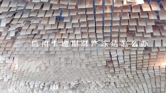 信用卡逾期财产冻结怎么办 信用卡逾期财产冻结怎么办