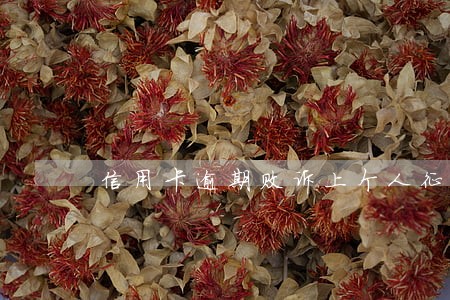 信用卡逾期败诉上个人征信吗 信用卡逾期败诉上个人征信吗