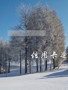 信用卡逾期败诉没钱还会坐牢吗 信用卡逾期败诉没钱还会坐牢吗