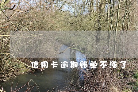 信用卡逾期账单不涨了 信用卡逾期账单不涨了