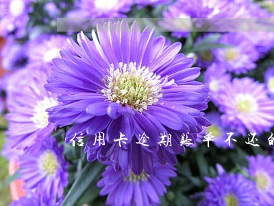 信用卡逾期账单不还的结果是