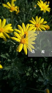 信用卡逾期账单会一直增加吗 信用卡逾期账单会一直增加吗