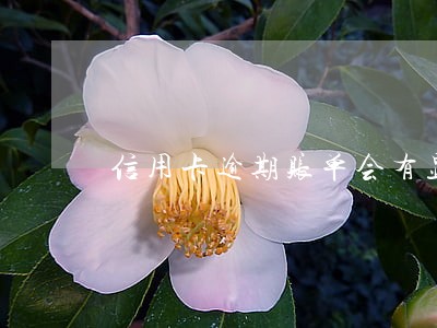 信用卡逾期账单会有显示吗 信用卡逾期账单会有显示吗