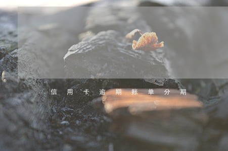 信用卡逾期账单分期