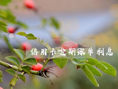 信用卡逾期账单利息 信用卡逾期账单利息