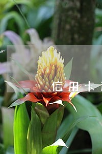 信用卡逾期账单却未生成 信用卡逾期账单却未生成