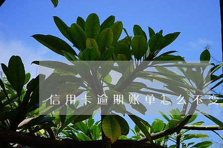 信用卡逾期账单怎么不变了 信用卡逾期账单怎么不变了