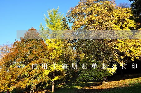 信用卡逾期账单怎么打印 信用卡逾期账单怎么打印