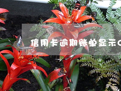 信用卡逾期账单显示0