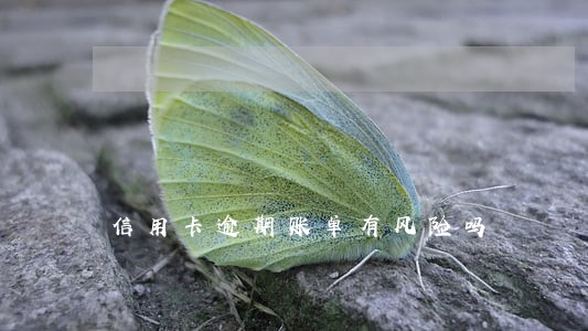 信用卡逾期账单有风险吗 信用卡逾期账单有风险吗
