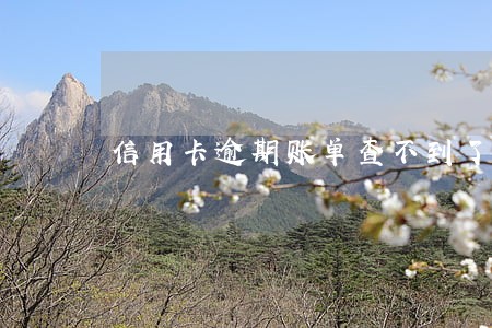 信用卡逾期账单查不到了