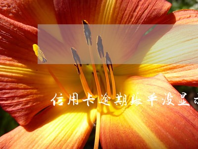 信用卡逾期账单没显示 信用卡逾期账单没显示