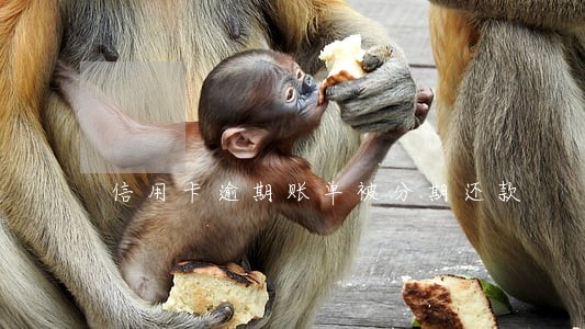 信用卡逾期账单被分期还款 信用卡逾期账单被分期还款