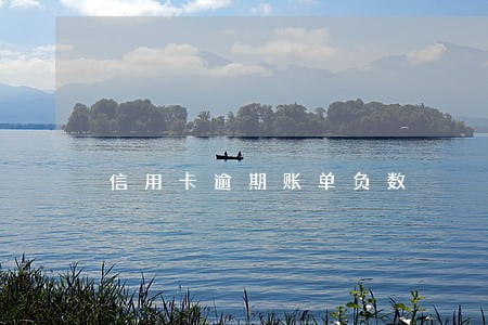 信用卡逾期账单负数 信用卡逾期账单负数