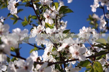 信用卡逾期账单还有分期 信用卡逾期账单还有分期
