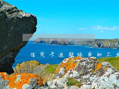 信用卡逾期账单都不发了吗 信用卡逾期账单都不发了吗