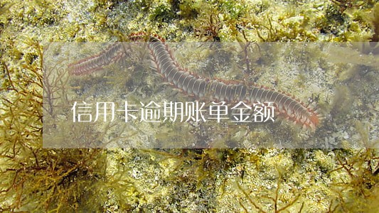 信用卡逾期账单金额