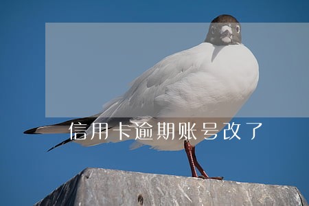 信用卡逾期账号改了 信用卡逾期账号改了