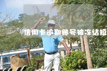 信用卡逾期账号被冻结短信模板