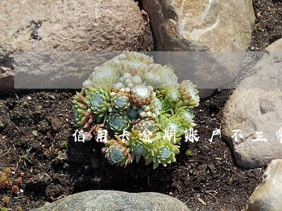 信用卡逾期账户不正常 信用卡逾期账户不正常