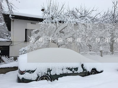 信用卡逾期账户停用还会收年费吗