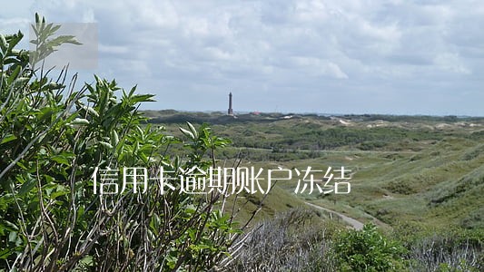 信用卡逾期账户冻结 信用卡逾期账户冻结
