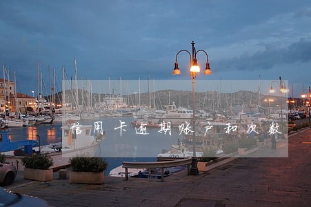 信用卡逾期账户和次数 信用卡逾期账户和次数