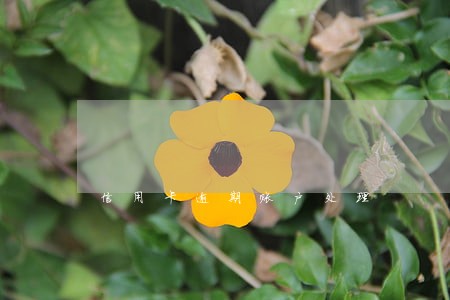 信用卡逾期账户处理