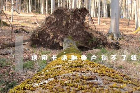 信用卡逾期账户存不了钱 信用卡逾期账户存不了钱
