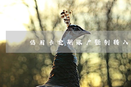 信用卡逾期账户强制转入授权 信用卡逾期账户强制转入授权