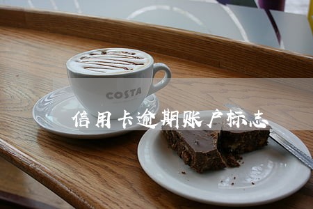信用卡逾期账户标志