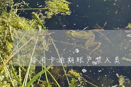 信用卡逾期账户禁入类