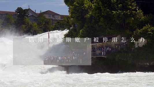 信用卡逾期账户被停用怎么办