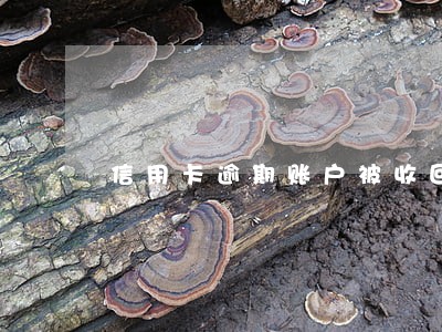 信用卡逾期账户被收回 信用卡逾期账户被收回