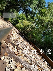 信用卡逾期账龄是什么意思