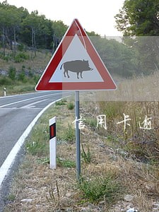 信用卡逾期质保