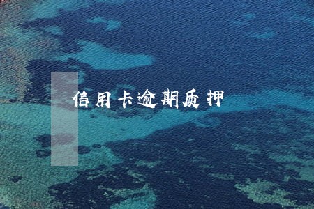 信用卡逾期质押