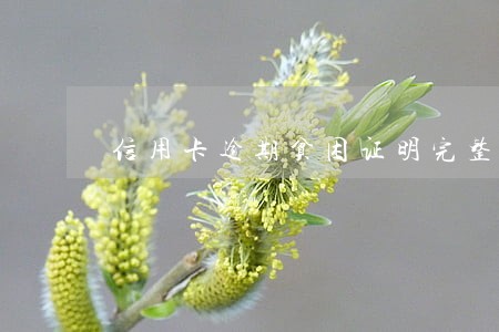 信用卡逾期贫困证明完整范文 信用卡逾期贫困证明完整范文