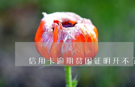 信用卡逾期贫困证明开不了 信用卡逾期贫困证明开不了