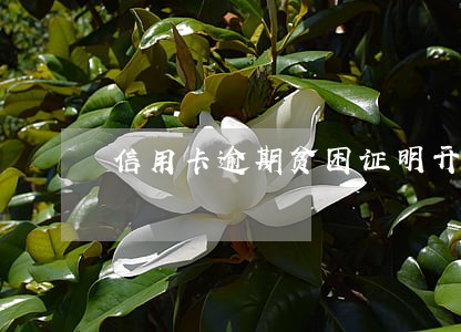 信用卡逾期贫困证明开不到 信用卡逾期贫困证明开不到